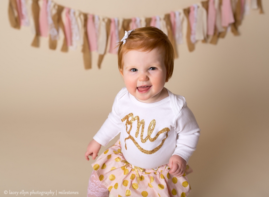 The Big O-N-E | Lake County, IL Baby Photographer - Lacey Ellyn ...